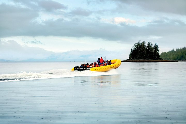 Ketchikan Rainforest Island and Boat Adventure - Photo 1 of 3